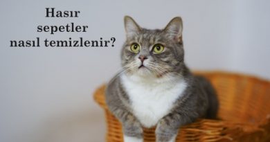 Hasır sepetler nasıl temizlenir